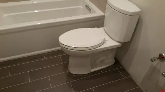White or clear caulk around toilet