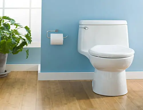 toilet with largest trapway