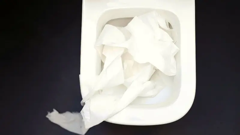 clogged toilet with paper towel