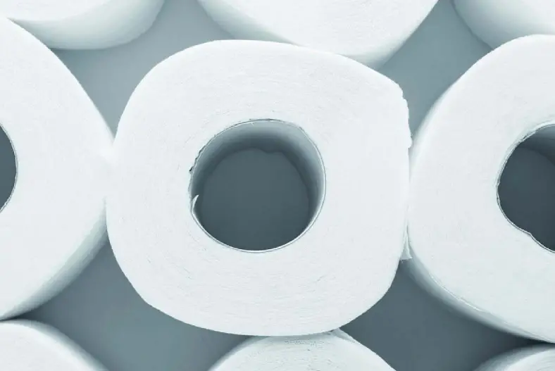toilet paper that doesn't leave particles
