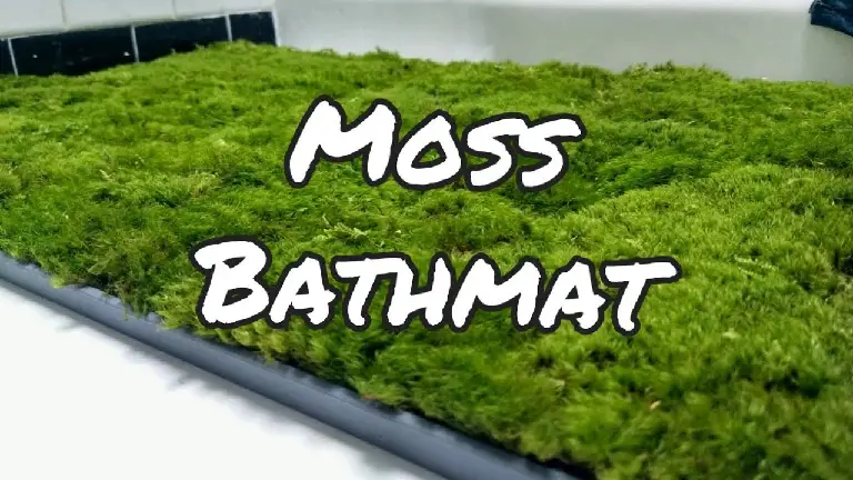 moss bath mat problems